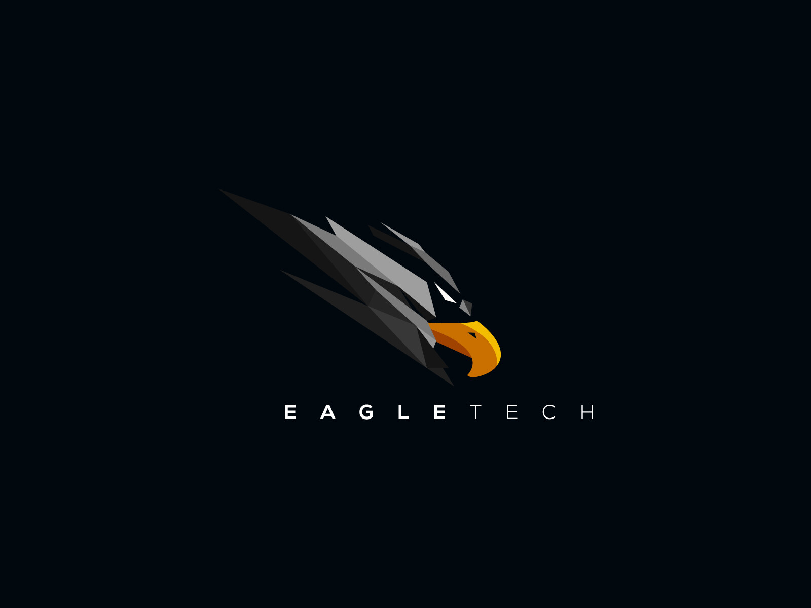 ben-naveed-eagle-logo-2-2