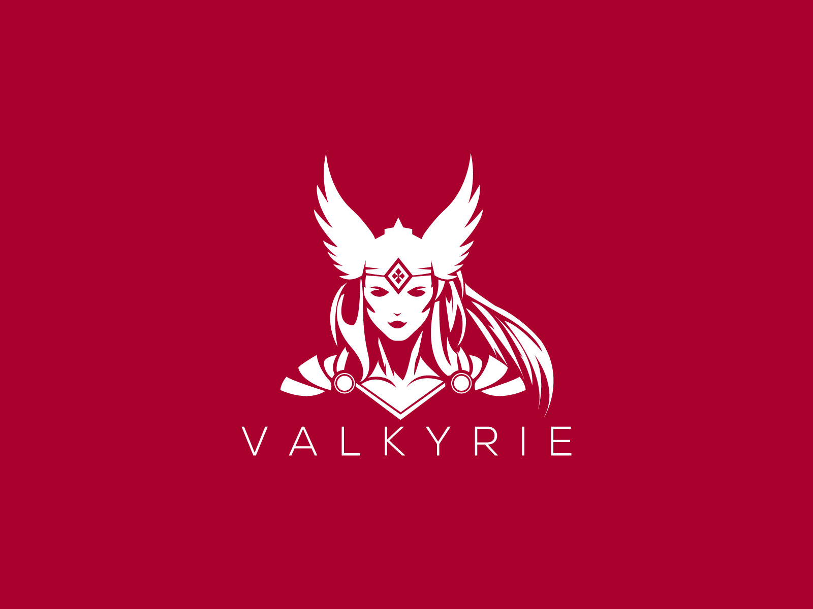 ben-naveed-valkyrie-logo-1