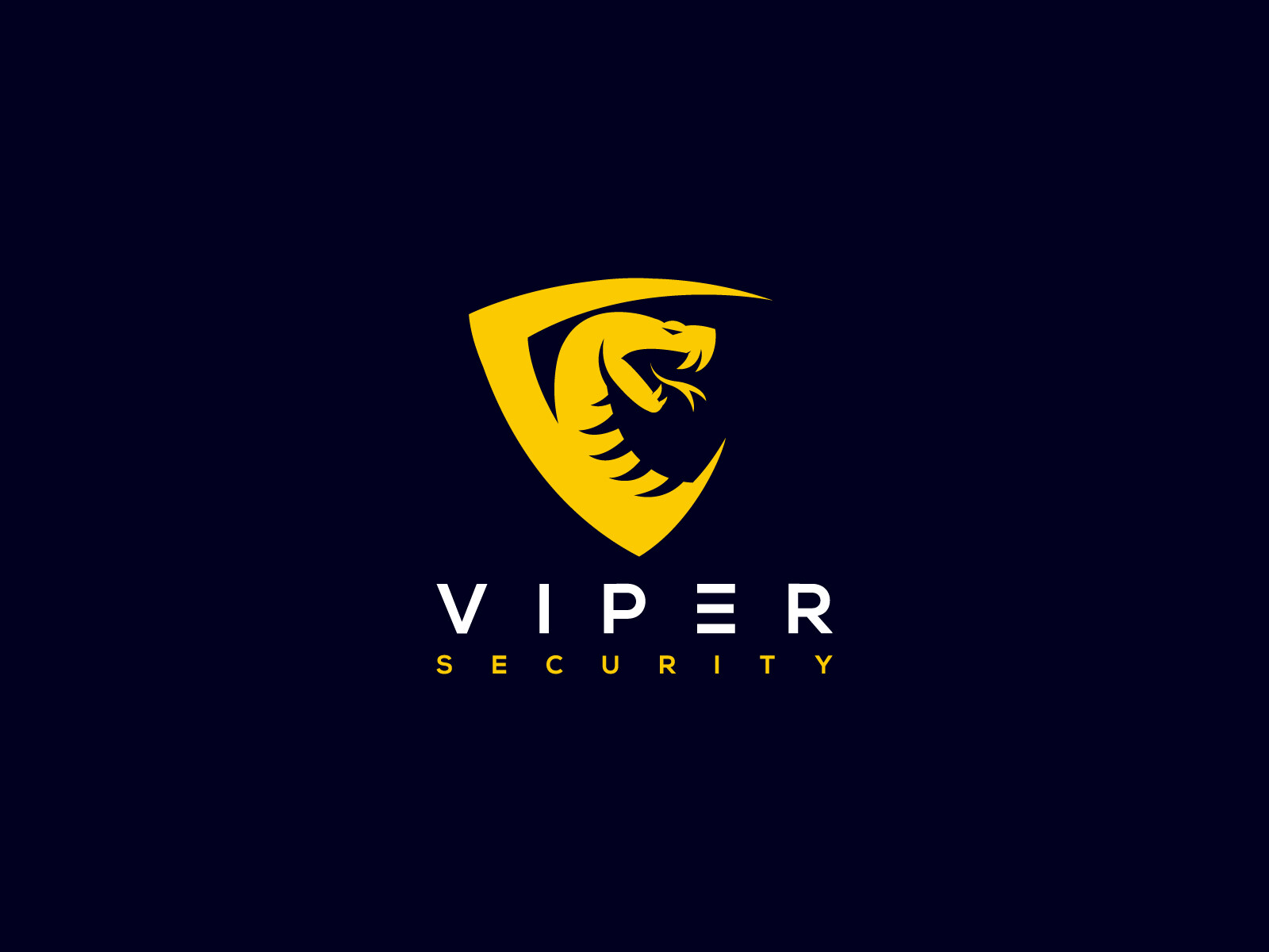 ben-naveed-viper-logo